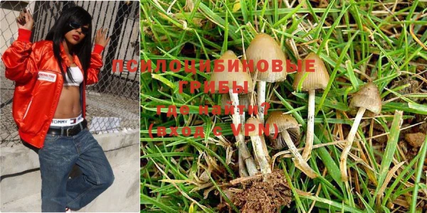 не бодяженный Беломорск