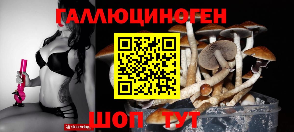 Псилоцибиновые грибы Psilocybine cubensis Видное