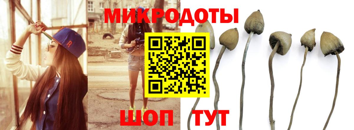 Видное  Галлюциногенные грибы Psilocybine cubensis  Псилоцибиновые грибы мицелий  Вход с VPN 